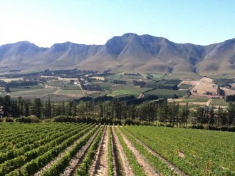 7wineroutes-hermanus