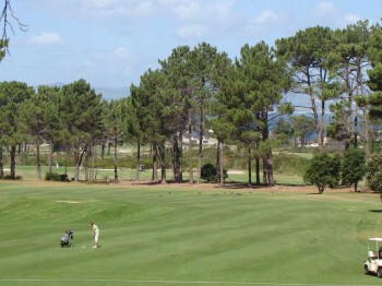 golfing-hermanus