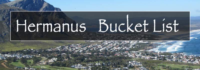 Bucket list hermanus