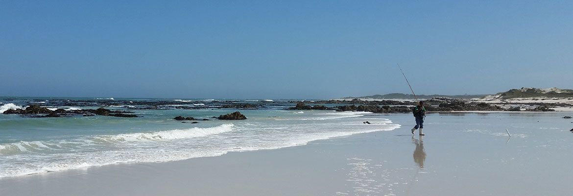 hermanus activities