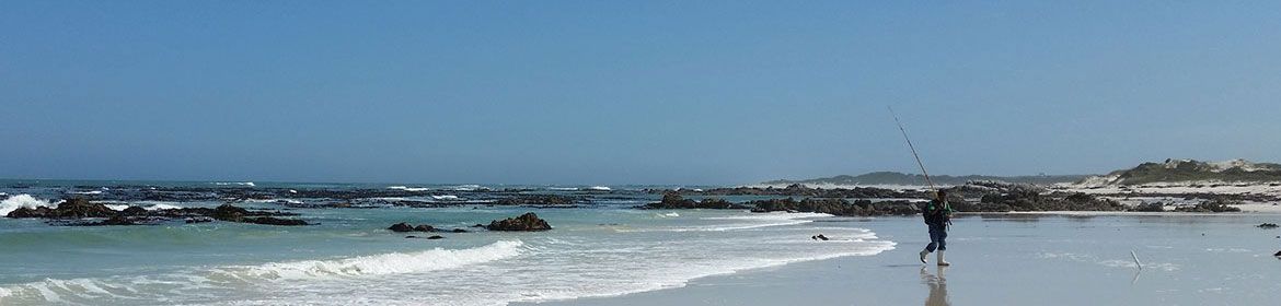 hermanus header